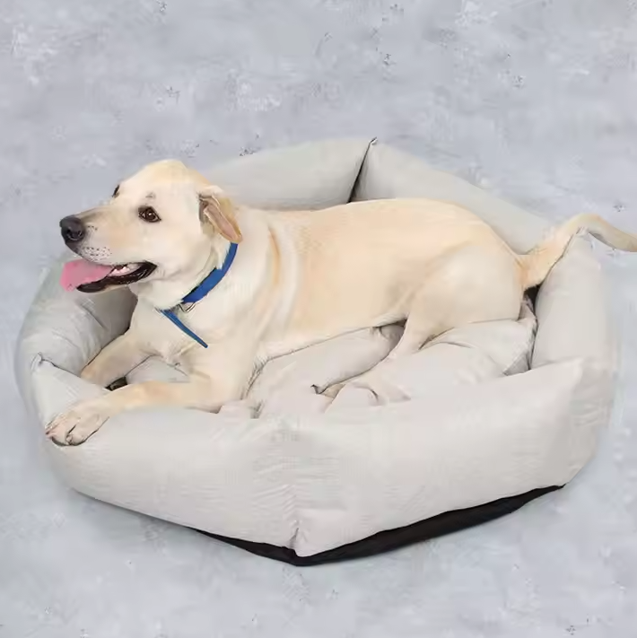 Dog lying on a gray pet bed with a concrete floor background