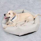 Dog lying on a gray pet bed with a concrete floor background