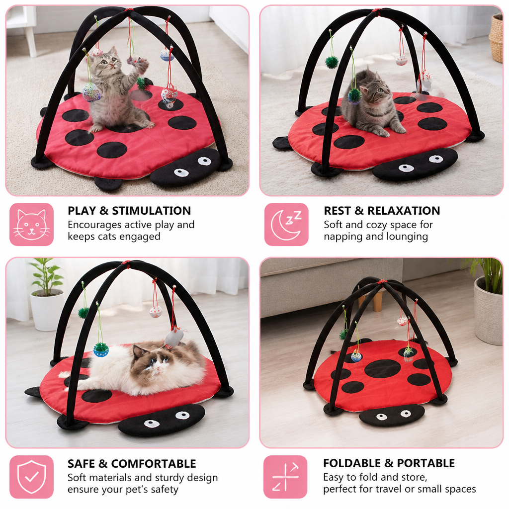 Cat play mat shaped like a ladybug with text highlighting its features.