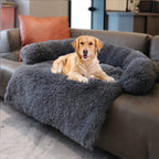 Dog lying on a fluffy gray pet bed in a living room.