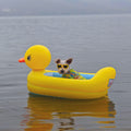 Dog wearing sunglasses and a floral shirt in a yellow inflatable duck float on water