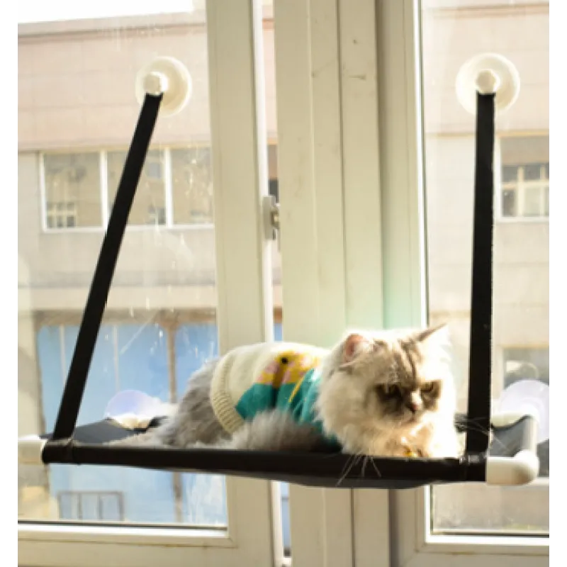 Cat lounging on a window-mounted hammock with a view of buildings outside.