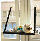 Cat lounging on a window-mounted hammock with a view of buildings outside.