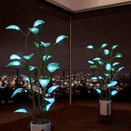 Decorative plants with blue LED lights on a rooftop at night.