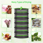 Black and green drying rack with images of dried items on a light green background
