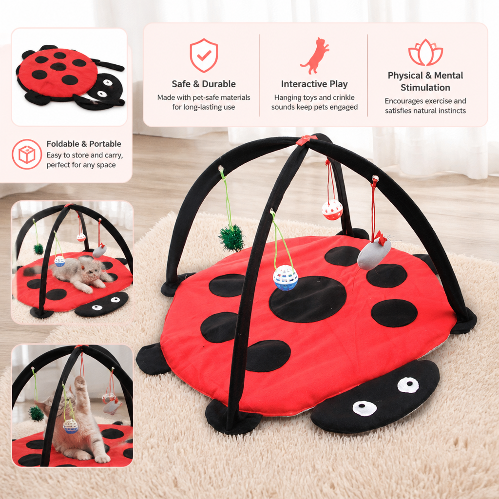 Red and black ladybug-shaped pet play mat with hanging toys on a beige carpet.