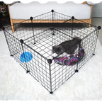 Pet playpen with a small dog inside on a carpeted floor.
