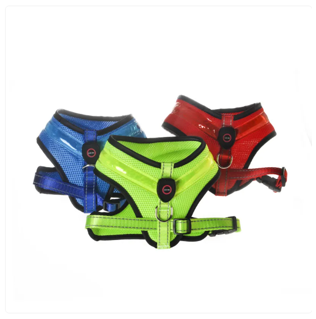 Three dog harnesses in blue, green, and red on a white background