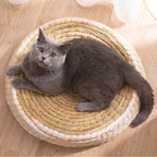 Gray cat lying on a round woven pet bed on a wooden floor.