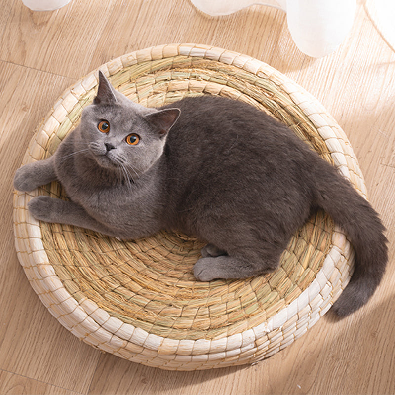 Gray cat lying on a round woven pet bed on a wooden floor.