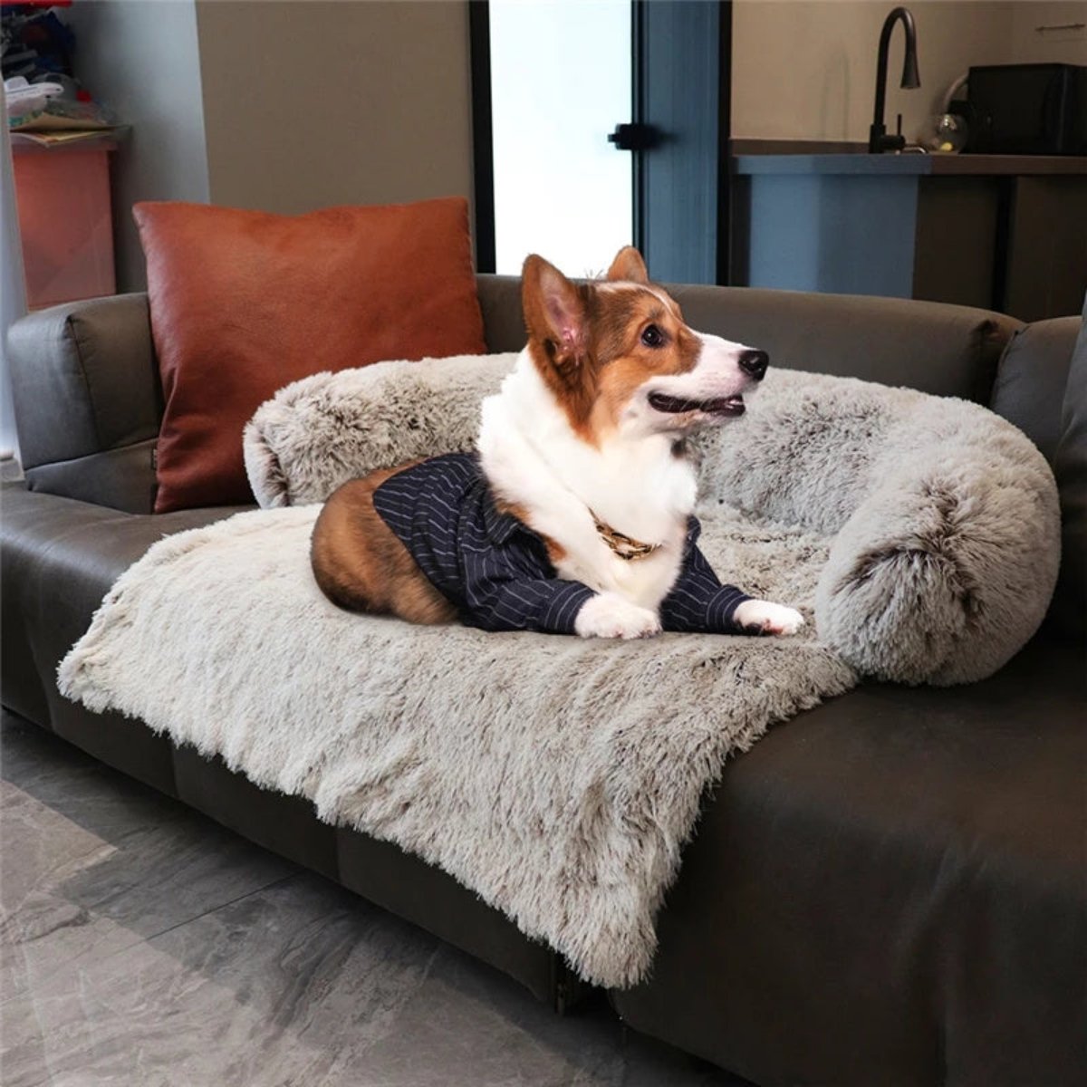 Dog wearing a sweater on a fluffy pet bed in a living room