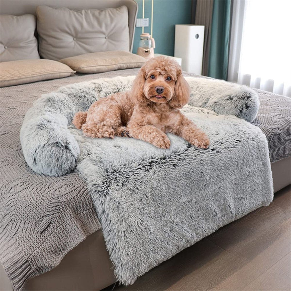Dog lying on a fluffy pet bed in a cozy living room.