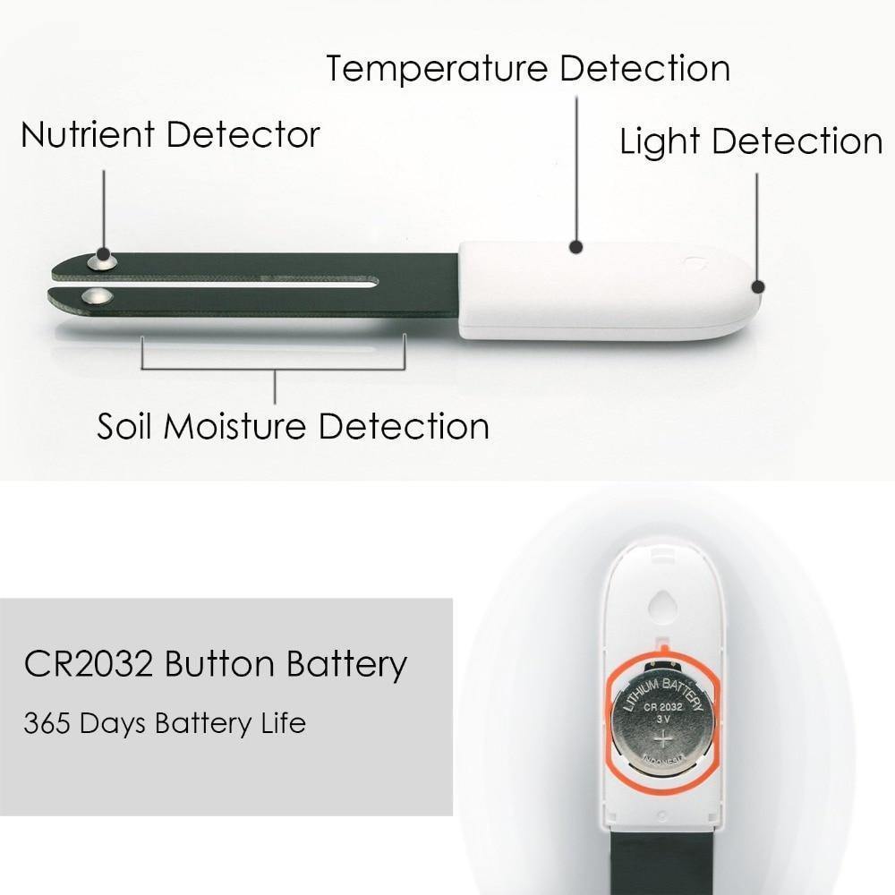 Device with labeled components on a white background