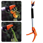 Gardening tool with orange handles used for pruning fruits and vegetables on a white background.