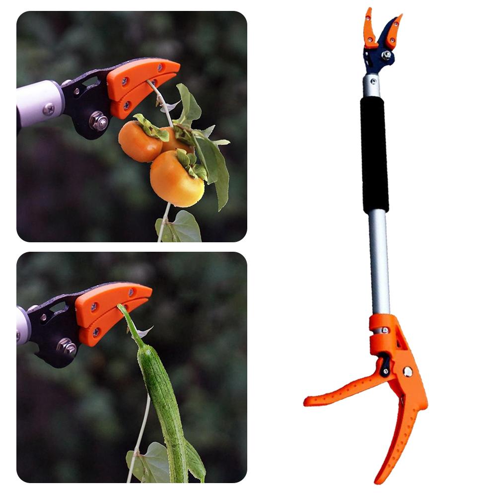 Gardening tool with orange handles used for pruning fruits and vegetables on a white background.