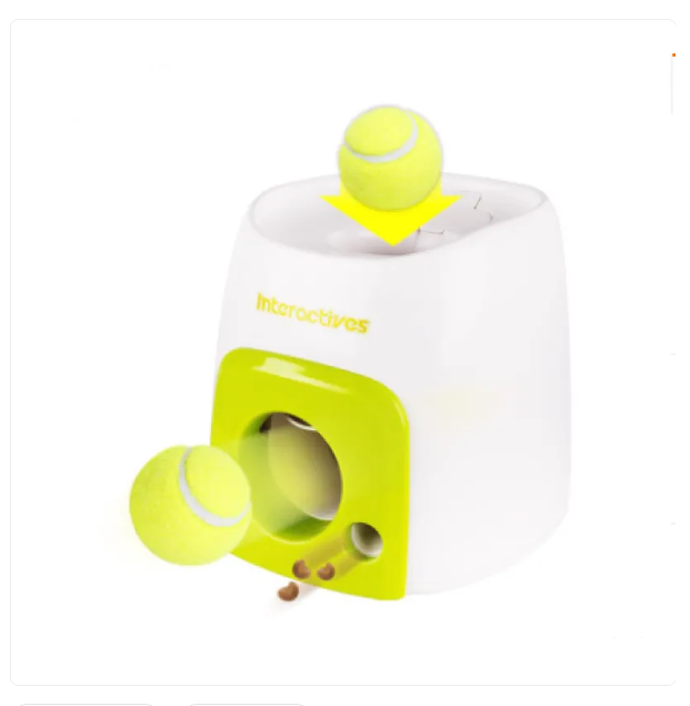 White and green pet toy with tennis ball on a white background