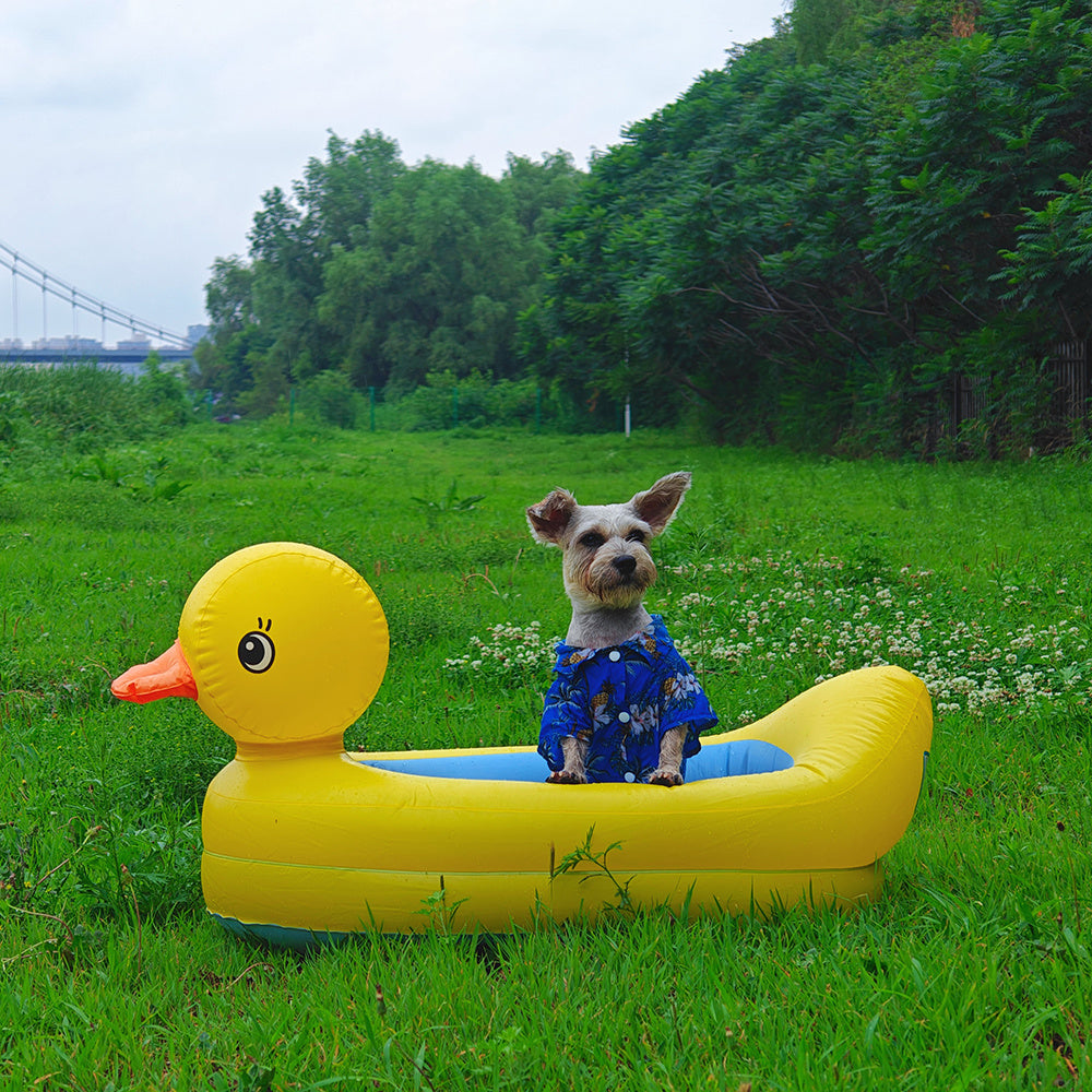 Dog in a blue outfit sitting in a yellow inflatable duck pool on a grassy field.