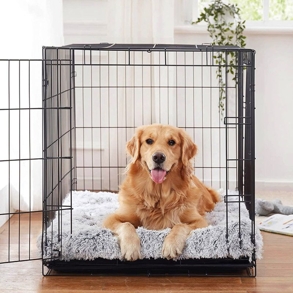 Dog sitting inside a black metal dog crate with a soft gray mat on a wooden floor.