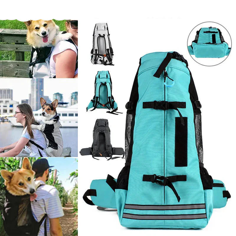 Collage of a turquoise pet carrier backpack with various usage scenarios.