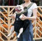 Person carrying a small dog in a black and green pet carrier with a blurred background.