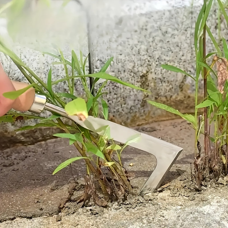Person using a small tool to separate young plants from the ground.
