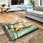 Dog lying on a large green pet bed in a living room with text about comfort.