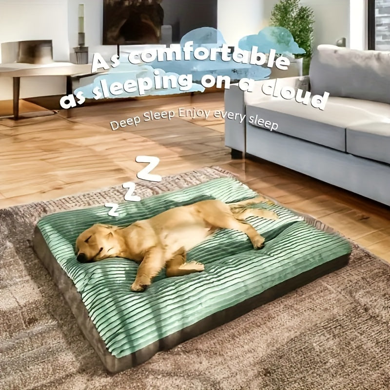 Dog lying on a large green pet bed in a living room with text about comfort.