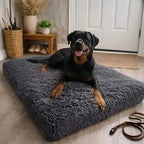 Dog lying on a fluffy gray mat in a home setting with a leash nearby.