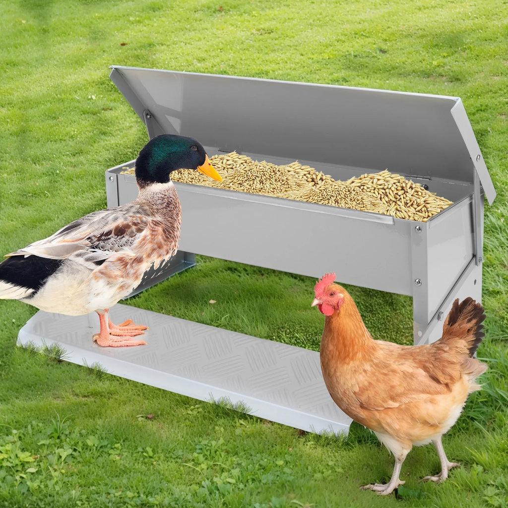 Duck and chicken near a metal feed trough on grass