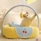 Cat playing with a yellow and blue pet toy