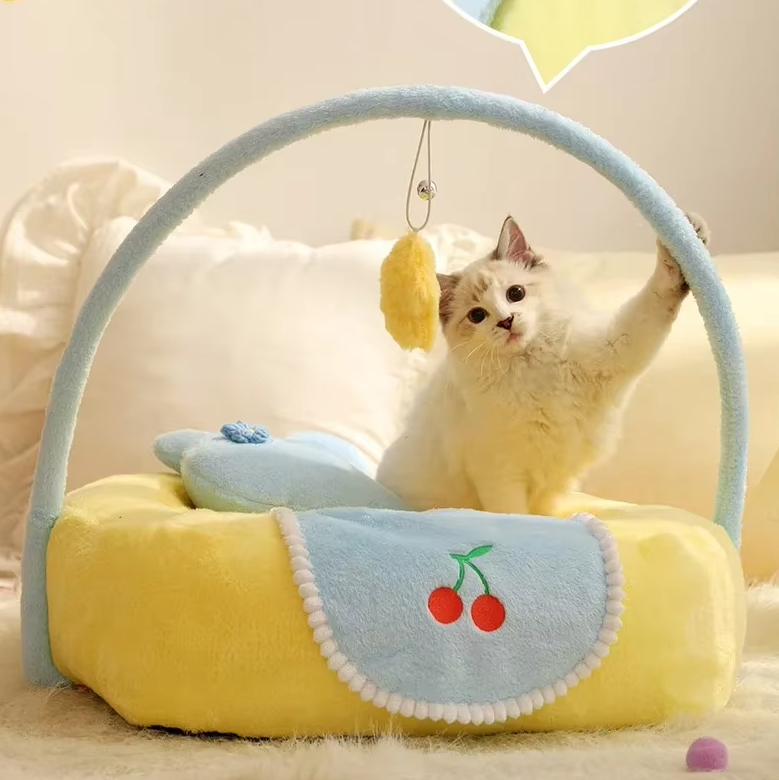 Cat playing with a yellow and blue pet toy